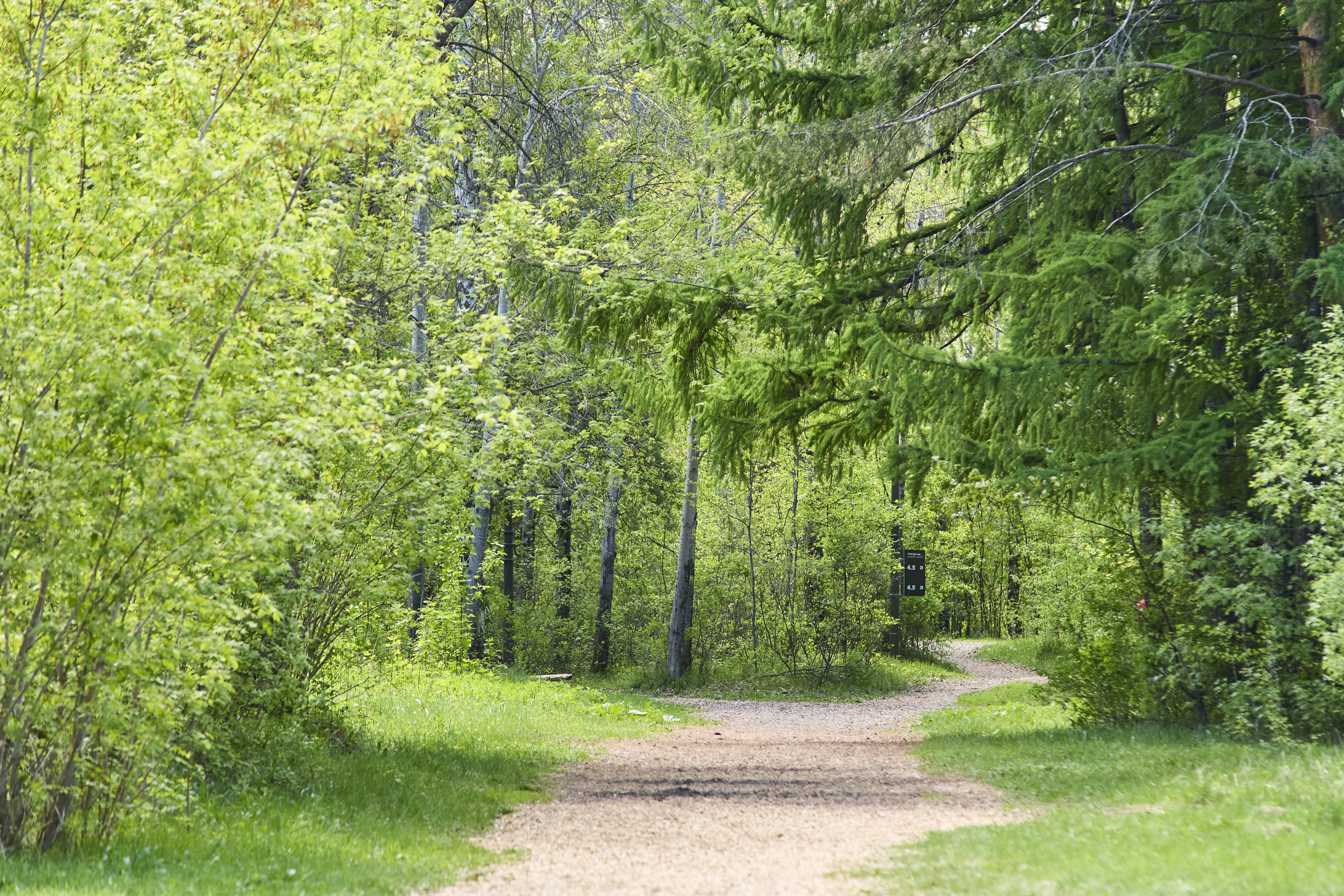 Затюменский