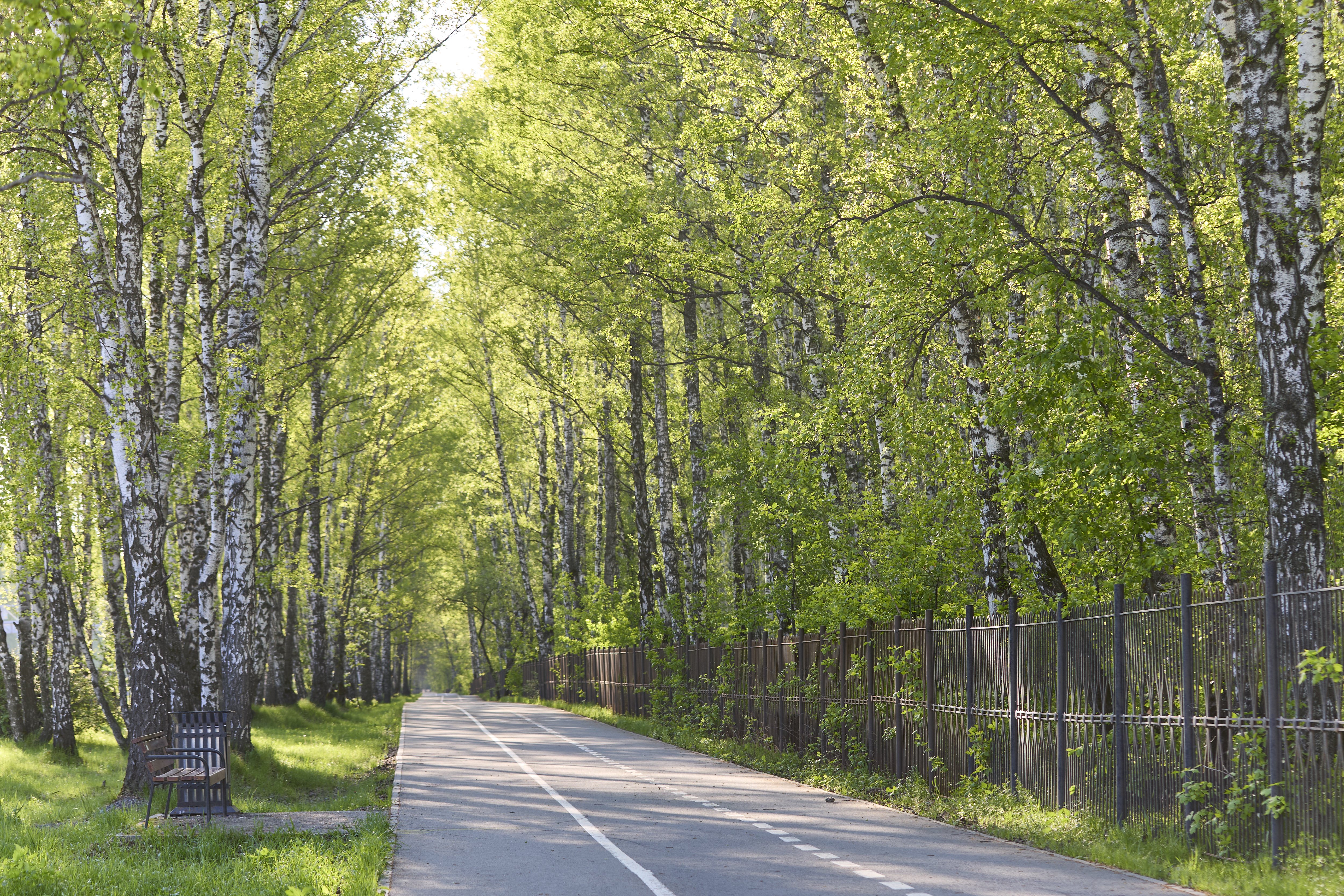 Лесопарк им. Ю.А. Гагарина 